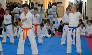 Noi performanţe sportive pentru karateka din sectorul 6